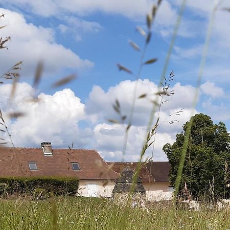 Gite XL Le Clos de Lamie avec piscine privée Fossemagne Exterior foto