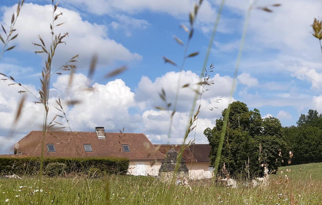 Gite XL Le Clos de Lamie avec piscine privée Fossemagne Exterior foto